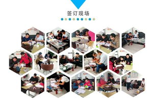 農用小型挖掘機實用指南 價格、圖片參數與應用服務詳解